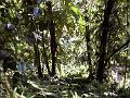 17b - Parc des Mamelles - Marche 022